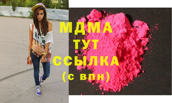 хмурый Алексин