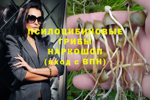 бошки Алексеевка