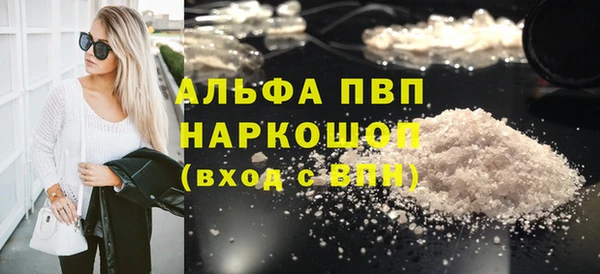 хмурый Алексин